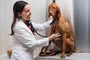 The pet friendly building includes an on-premises Dog City, offering convenient in-building veterinary services.